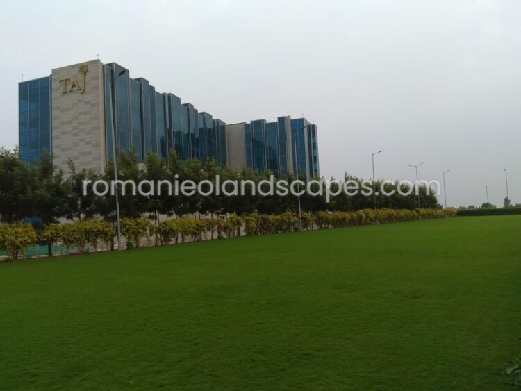 landscaping in hospitality sector