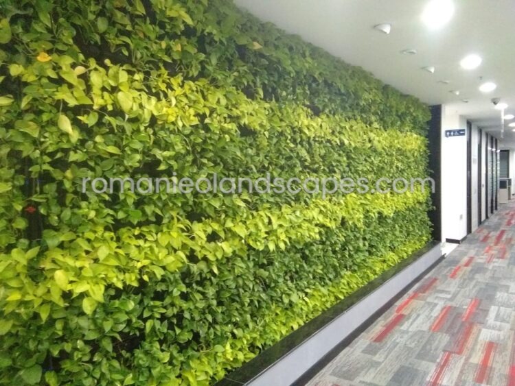 Vertical Gardens and Landscaping