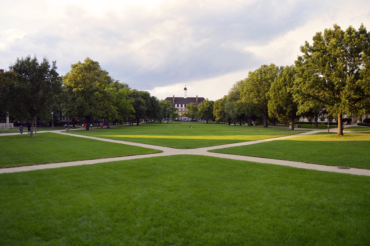 Landscaping in University Campus